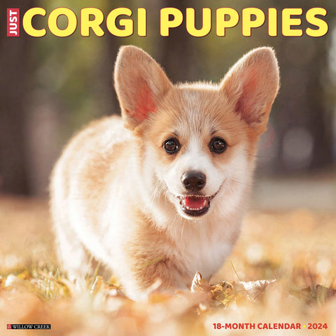 Just Corgi Puppies 2024 12" x 12" Wall Calendar