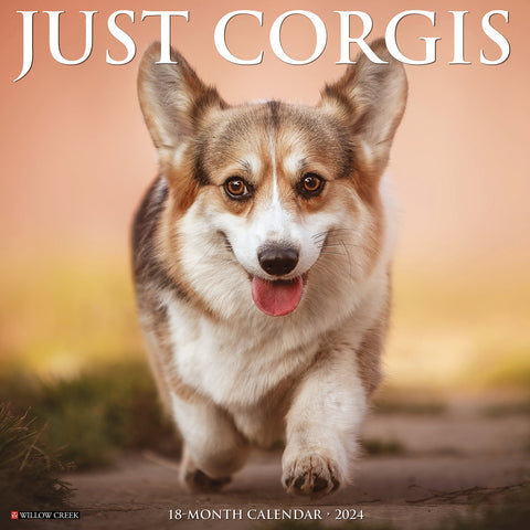 Just Corgis 2024 12" x 12" Wall Calendar