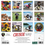 Crusoe the Celebrity Dachshund 2024 12" x 12" Wall Calendar