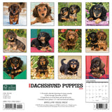 Just Dachshund Puppies 2024 12" x 12" Wall Calendar