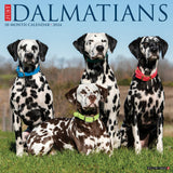 Just Dalmatians 2024 12" x 12" Wall Calendar