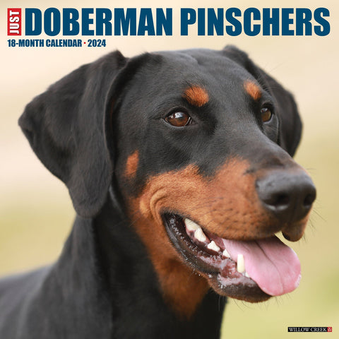 Just Dobermans 2024 12" x 12" Wall Calendar