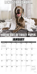 Dog-Gone-It 2024 12" x 12" Wall Calendar