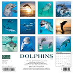 Dolphins 2024 12" x 12" Wall Calendar