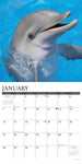 Dolphins 2024 12" x 12" Wall Calendar
