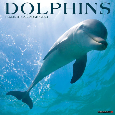 Dolphins 2024 12" x 12" Wall Calendar