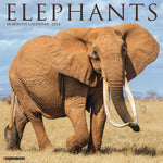 Elephants 2024 12" x 12" Wall Calendar