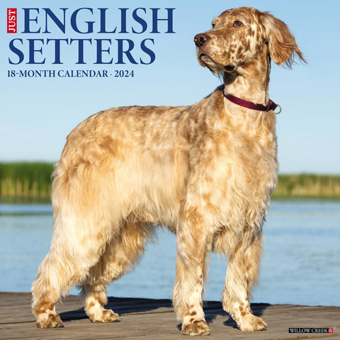 Just English Setters 2024 12" x 12" Wall Calendar