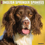 Just English Springer Spaniels 2024 12" x 12" Wall Calendar