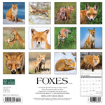 Foxes 2024 12" x 12" Wall Calendar