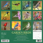 Garden Birds 2024 12" x 12" Wall Calendar
