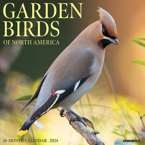 Garden Birds 2024 12" x 12" Wall Calendar