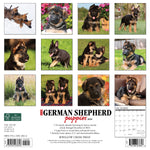 Just German Shepherd Puppies 2024 12" x 12" Wall Calendar