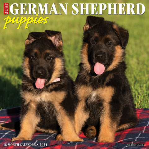 Just German Shepherd Puppies 2024 12" x 12" Wall Calendar