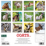Goats 2024 12" x 12" Wall Calendar