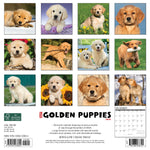 Just Golden Puppies 2024 12" x 12" Wall Calendar