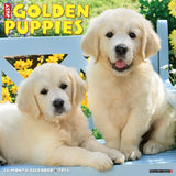 Just Golden Puppies 2024 12" x 12" Wall Calendar