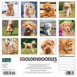 Just Goldendoodles 2024 12" x 12" Wall Calendar