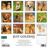 Just Goldens 2024 12" x 12" Wall Calendar