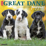 Just Great Dane Puppies 2024 12" x 12" Wall Calendar