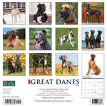 Just Great Danes 2024 12" x 12" Wall Calendar