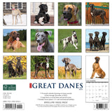 Just Great Danes 2024 12" x 12" Wall Calendar