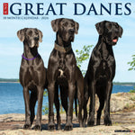 Just Great Danes 2024 12" x 12" Wall Calendar