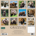 Grizzlies 2024 12" x 12" Wall Calendar