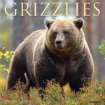 Grizzlies 2024 12" x 12" Wall Calendar