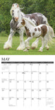 Gypsy Vanner Horse 2024 12" x 12" Wall Calendar