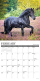 Happiness is a Horse 2024 12" x 12" Wall Calendar