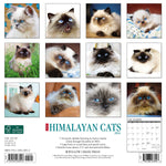 Just Himalayan Cats 2024 12" x 12" Wall Calendar