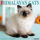 Just Himalayan Cats 2024 12" x 12" Wall Calendar
