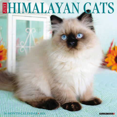 Just Himalayan Cats 2024 12" x 12" Wall Calendar