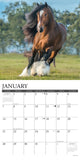 Horse Feathers 2024 12" x 12" Wall Calendar