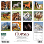 Just Horses 2024 12" x 12" Wall Calendar