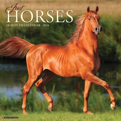 Just Horses 2024 12" x 12" Wall Calendar