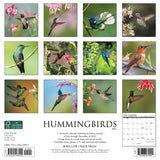 Hummingbirds 2024 12" x 12" Wall Calendar