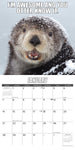 In Otter News 2024 12" x 12" Wall Calendar