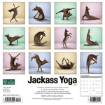 Jackass Yoga 2024 12" x 12" Wall Calendar