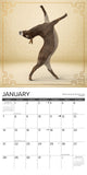 Jackass Yoga 2024 12" x 12" Wall Calendar