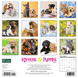 Kittens & Puppies 2024 12" x 12" Wall Calendar