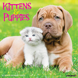 Kittens & Puppies 2024 12" x 12" Wall Calendar