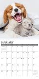 Kittens & Puppies 2024 12" x 12" Wall Calendar