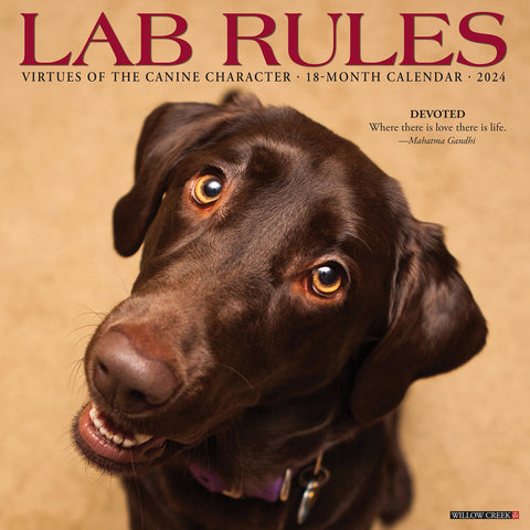 Lab Rules 2024 12" x 12" Wall Calendar