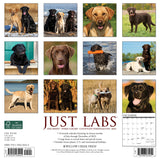 Just Labs 2024 12" x 12" Wall Calendar