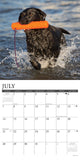 Just Labs 2024 12" x 12" Wall Calendar