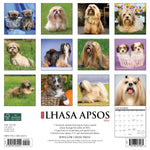 Just Lhasa Apsos 2024 12" x 12" Wall Calendar