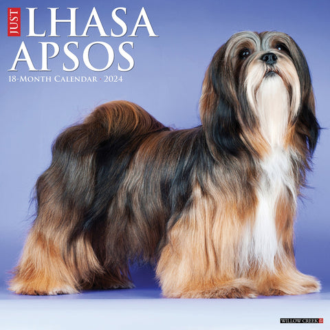 Just Lhasa Apsos 2024 12" x 12" Wall Calendar