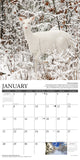 Life in the Northwoods 2024 12" x 12" Wall Calendar